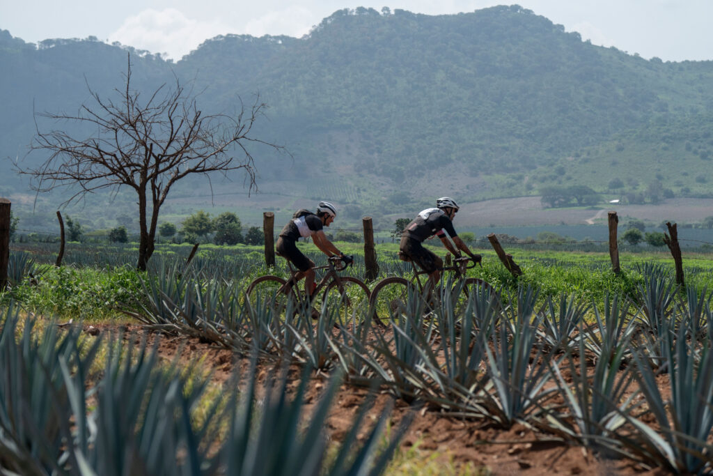 Gravel Mexico | Gravel Mexico