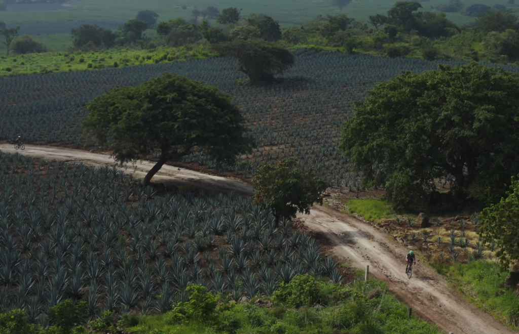 Gravel Mexico