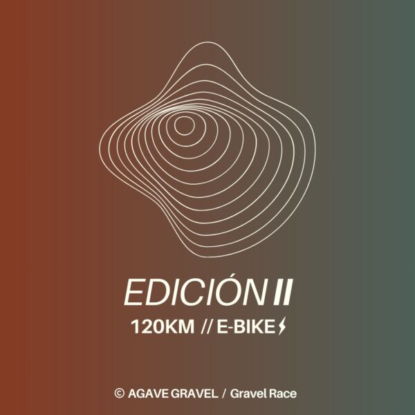 Agave Gravel | E Bike